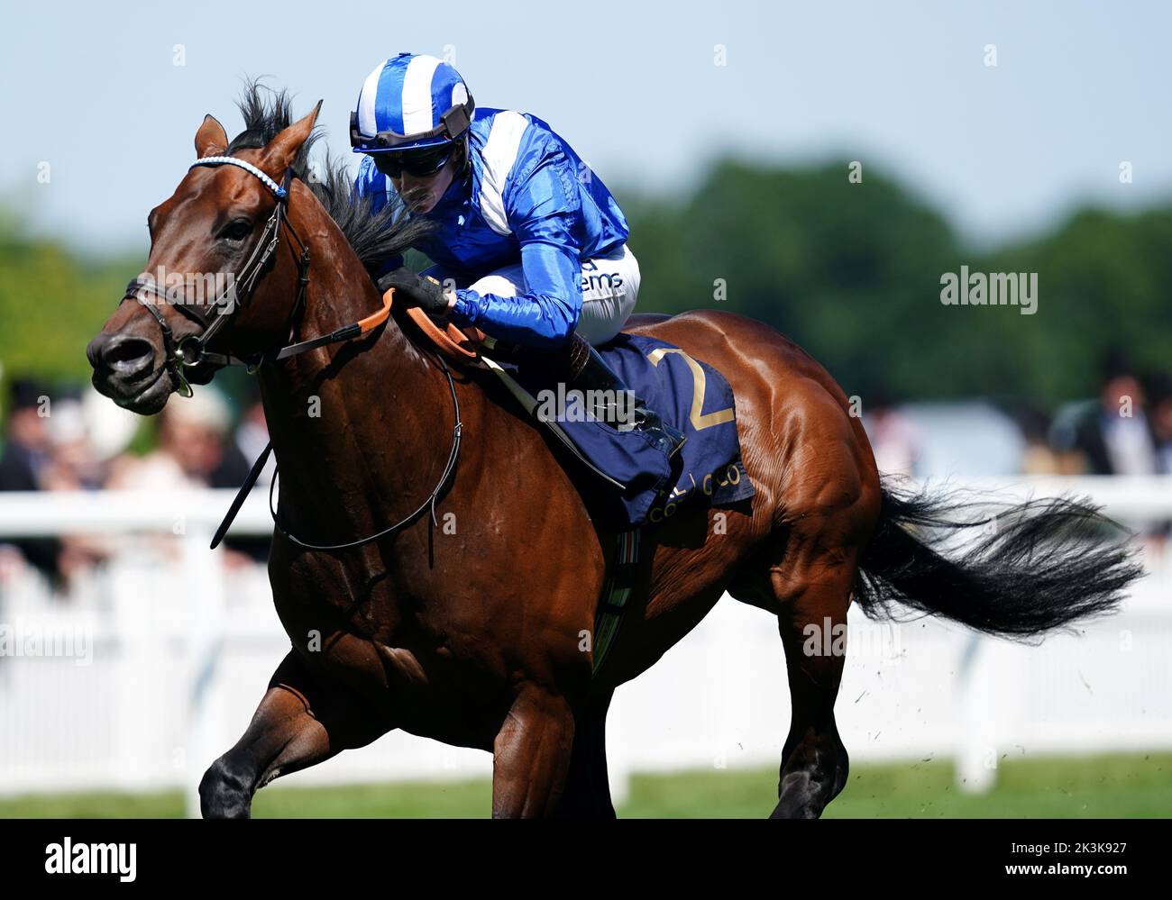 File photo dated 14-06-2022 of Baaeed. Connections of Baaeed are preparing themselves to say farewell to their star performer in the Qipco Champion Stakes at Ascot next month. Issue date: Tuesday September 27, 2022. Stock Photo