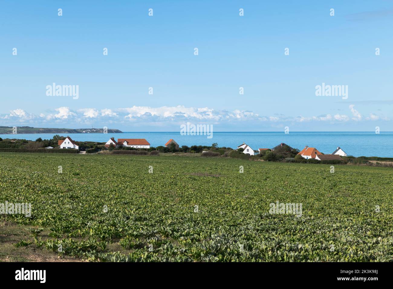 houses on the countryside of north france with the sea as background Stock Photo