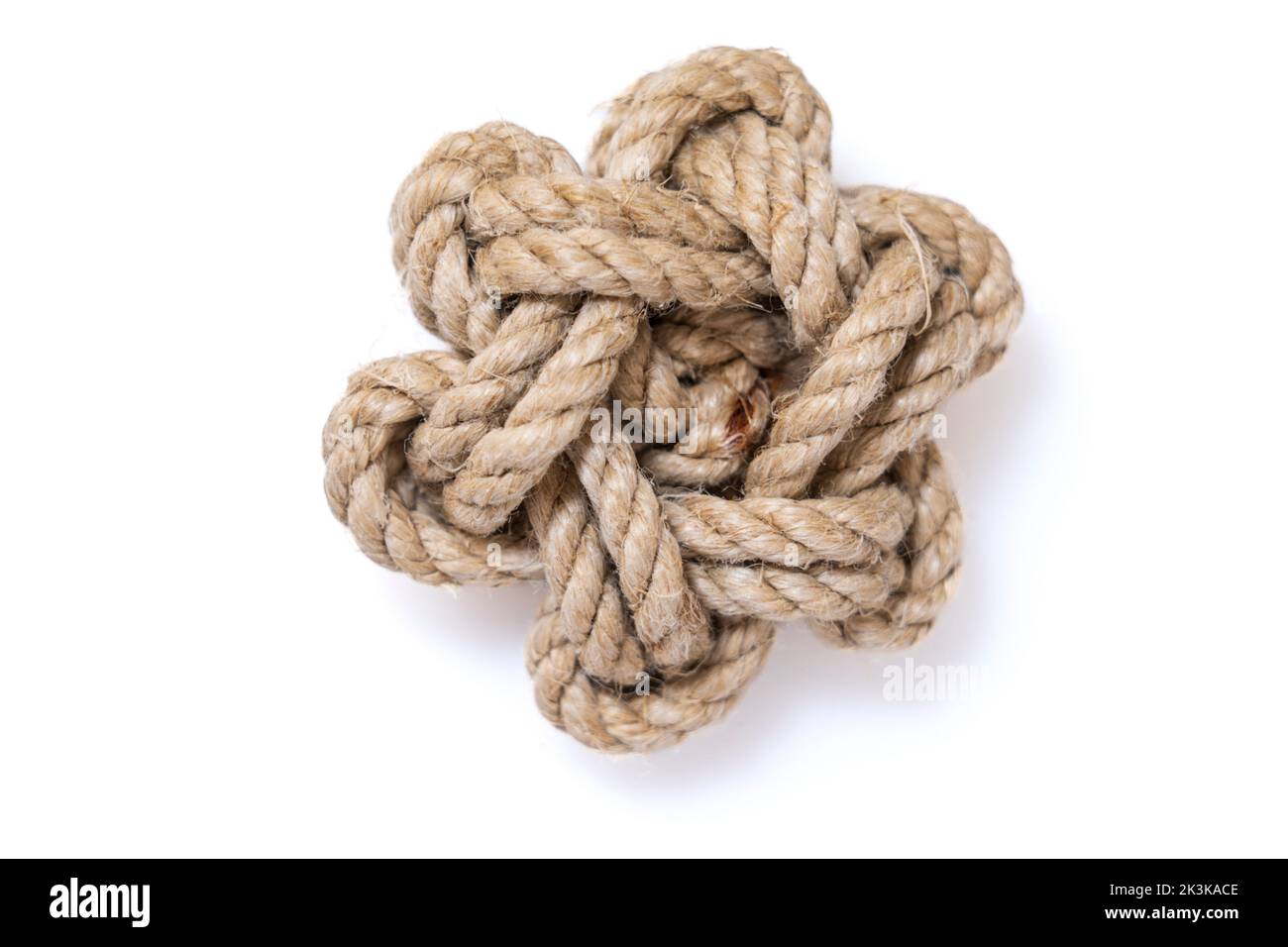 Pina de rosa where hi-res stock photography and images - Alamy