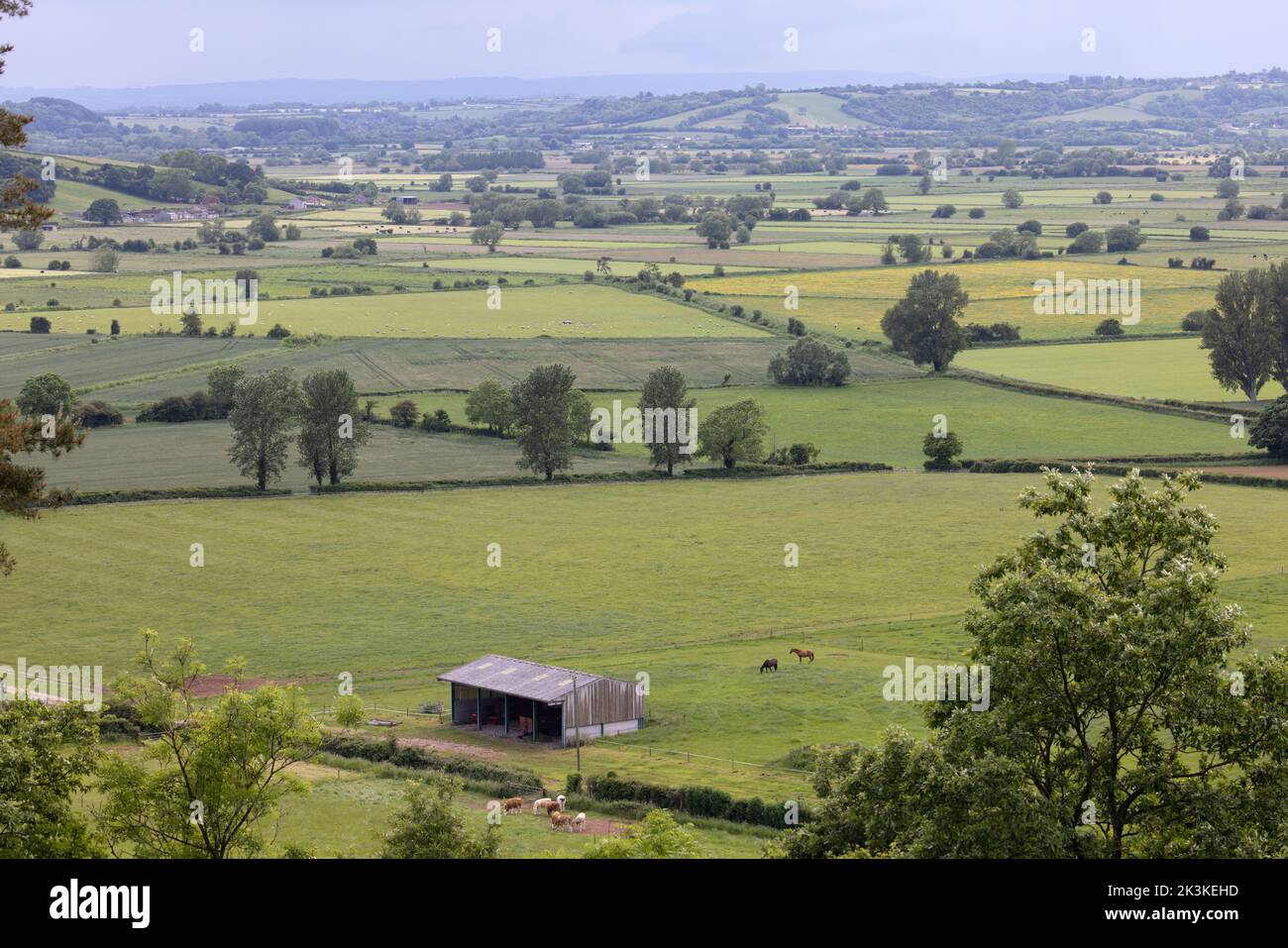 View from Collard Hill Somerset GB July 2022 Stock Photo