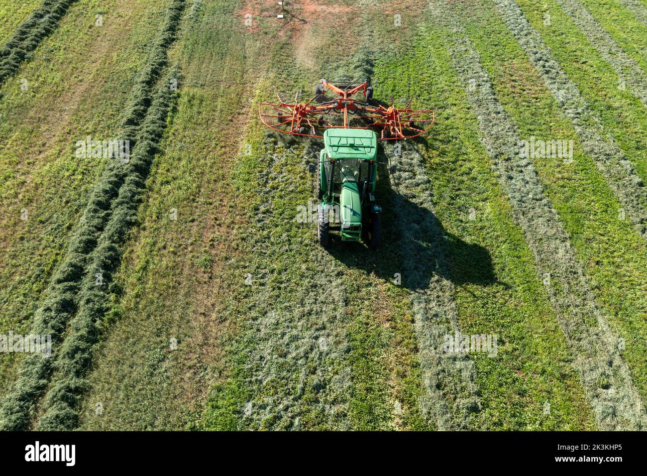 Hay Making Windrows Aerial view of a hay raker consolidating windrows in an alfalfa field ...