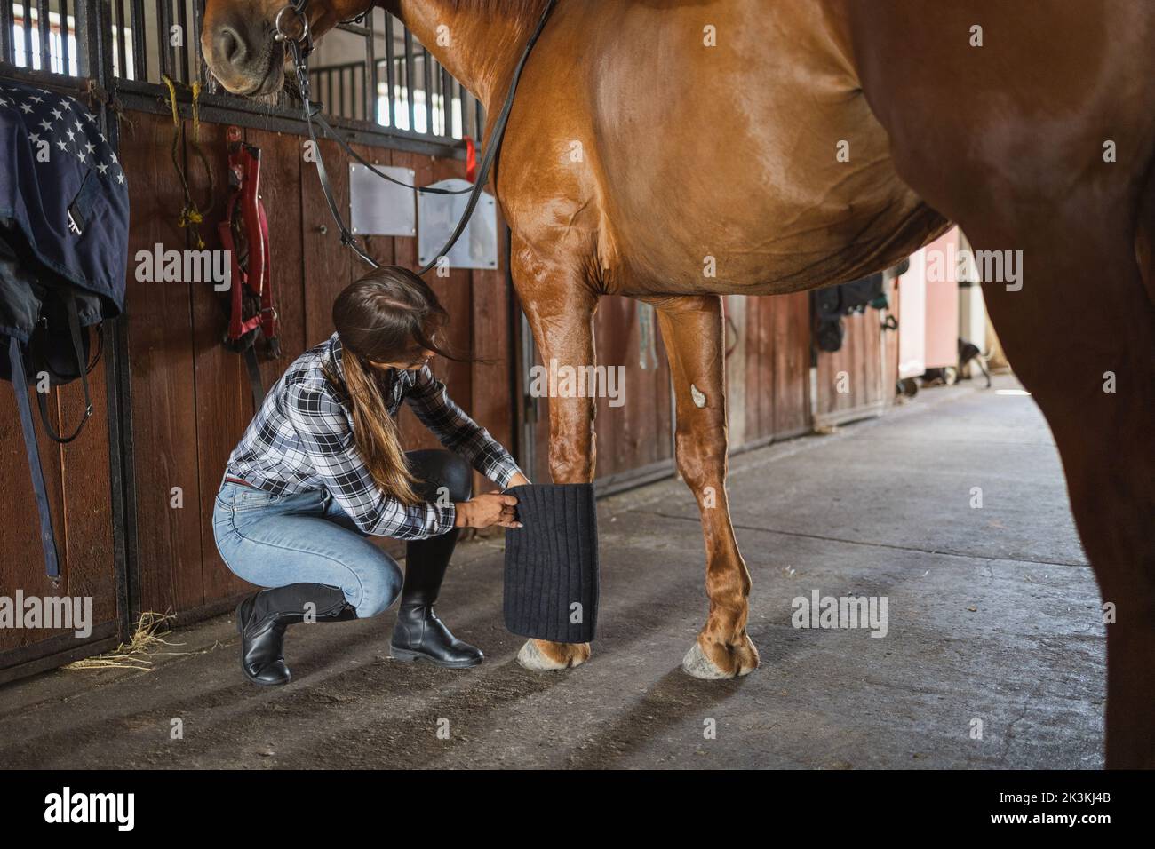 Woman taking care of her horse in stable Stock Photo - Alamy