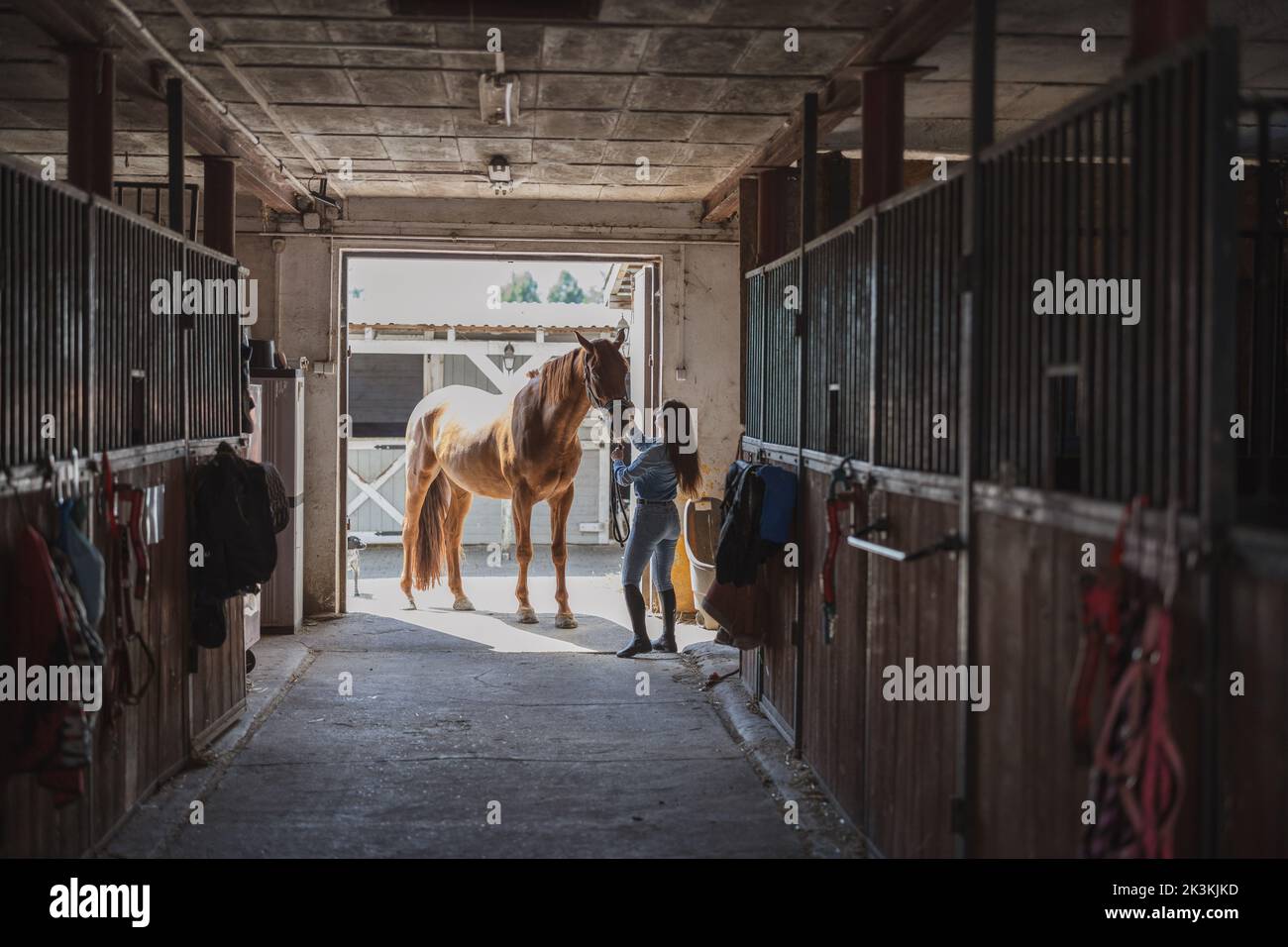 Woman taking care of her horse in stable Stock Photo - Alamy