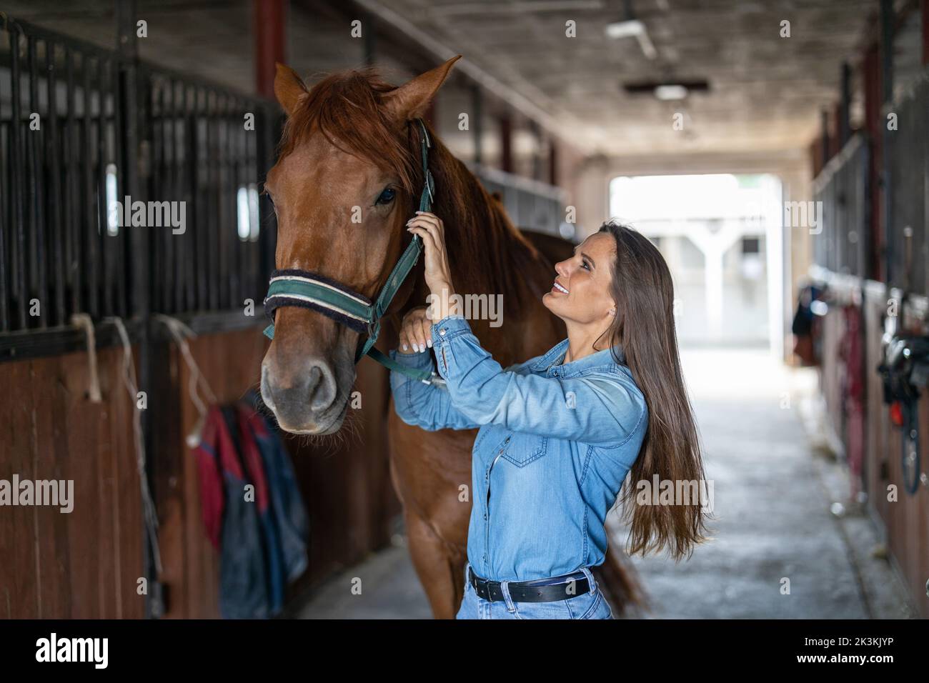 Woman taking care of her horse in stable Stock Photo - Alamy
