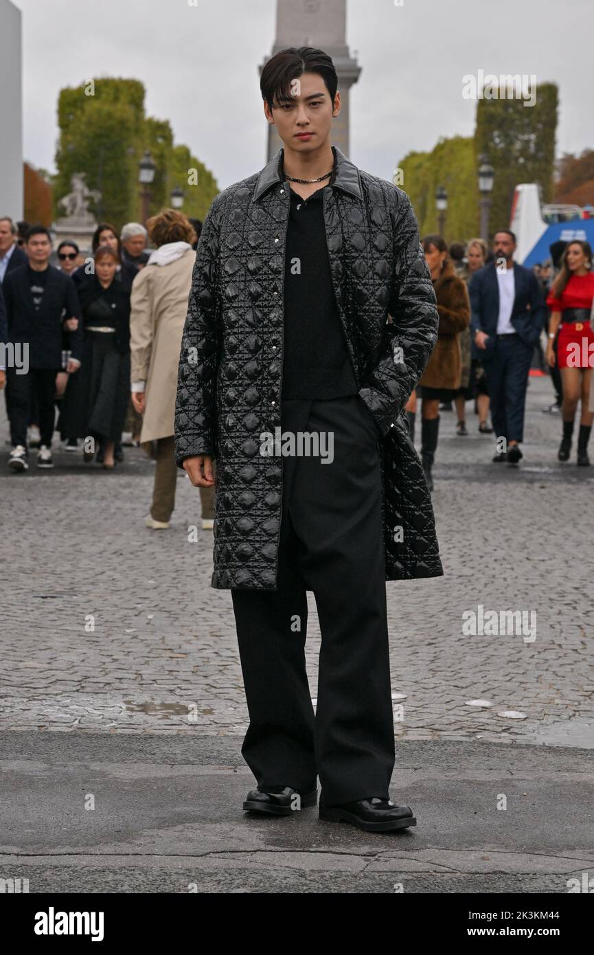 Guest arriving at the Dior show during Paris Fashion Week in Paris, France on September 27, 2022. Photo by Julien Reynaud/APS-Medias/ABACAPRESS.COM Stock Photo