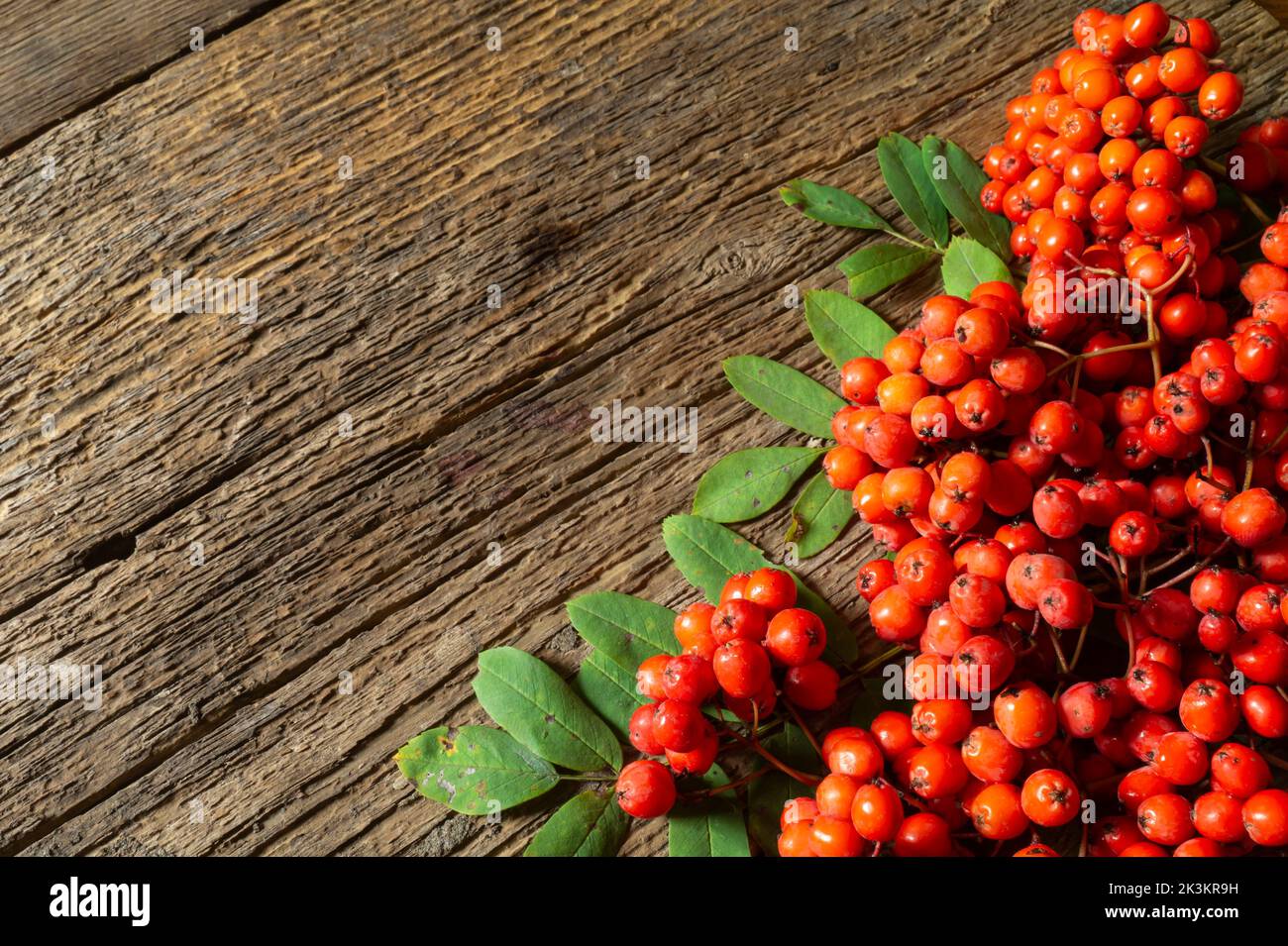 A bunch of red berries on a wooden table. Food on a dark background. Autumn harvest Stock Photo