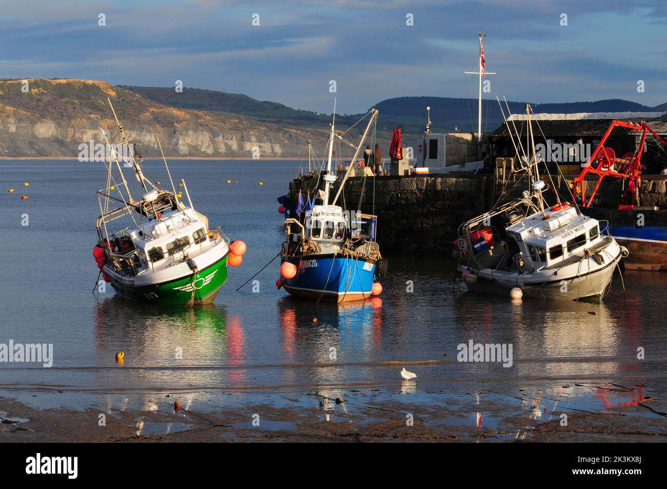 Fishing vessels in Lyme Regis harbour on the Dorset Jurassic Coad, UK ...