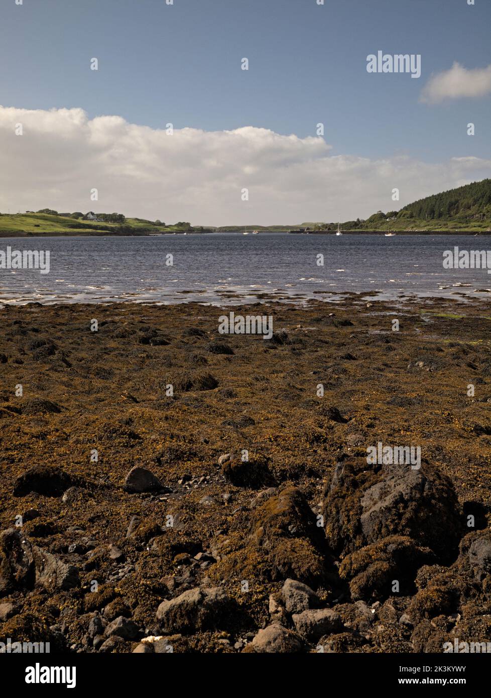 Loch Dunvegan from campsite Dunvegan, Isle of Skye, Scotland Stock