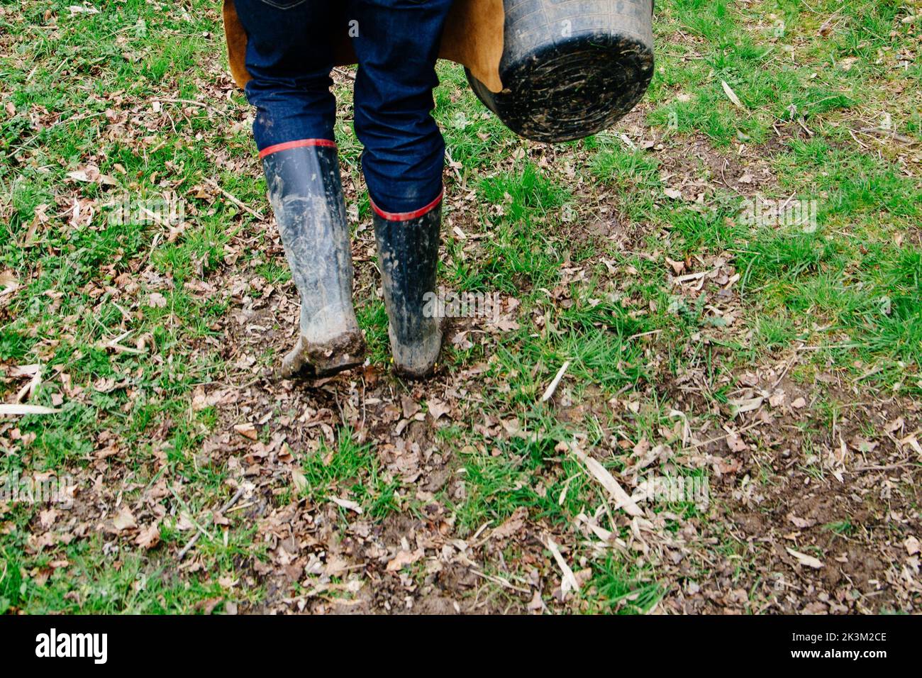 A selective of a person in muddy welly boots walking on green grass Stock Photo