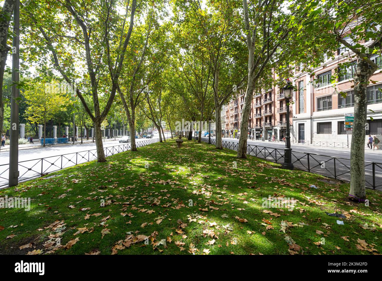 Madrid, Spain, September 2022. view of the green passage in the Paseo del Prado in the city center Stock Photo