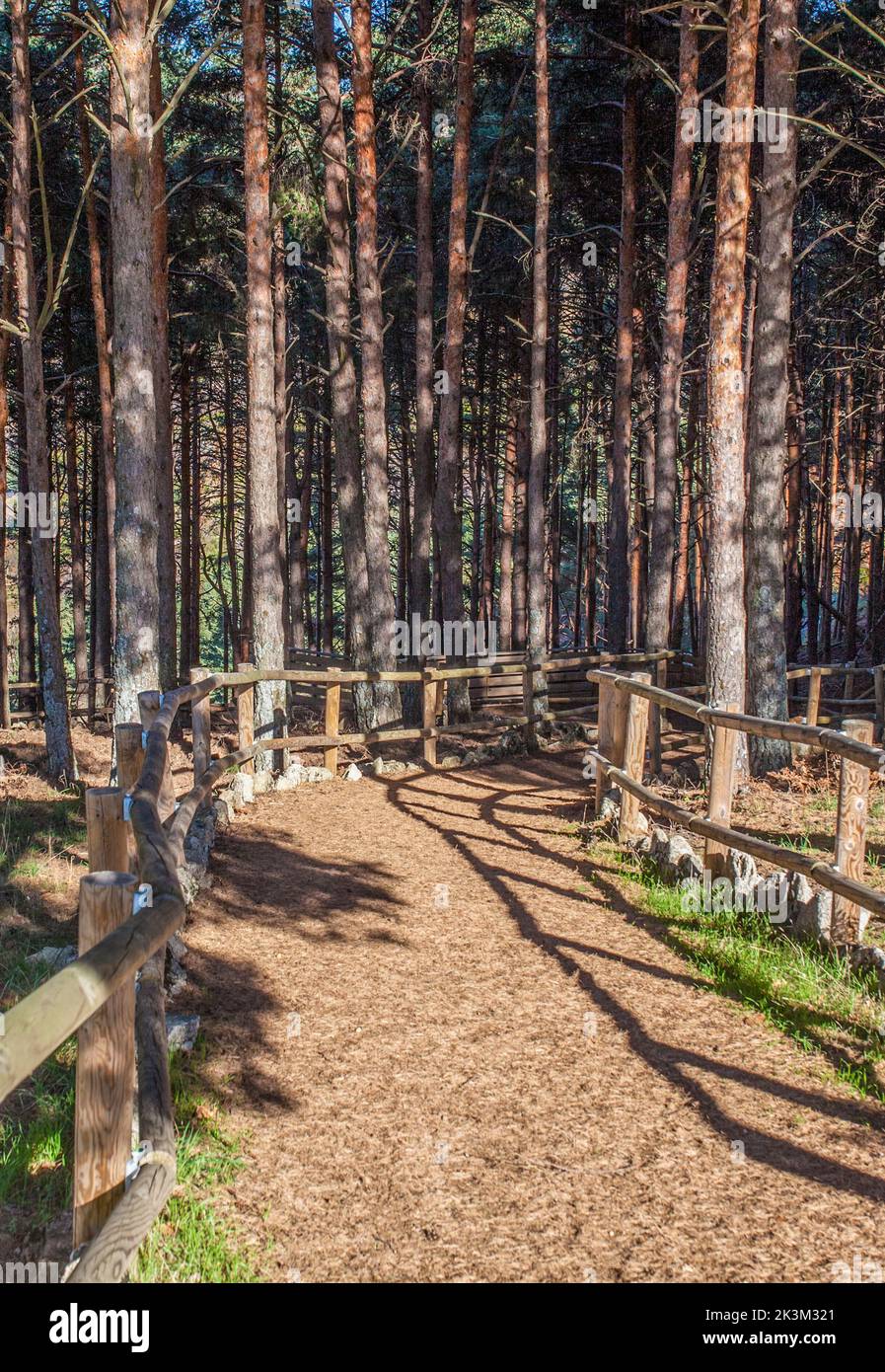 La Garganta forest Wooden Handrail. Magic place in the heart of Ambroz Valley, Banos de Montemayor, Caceres, Extremadura, Spain Stock Photo