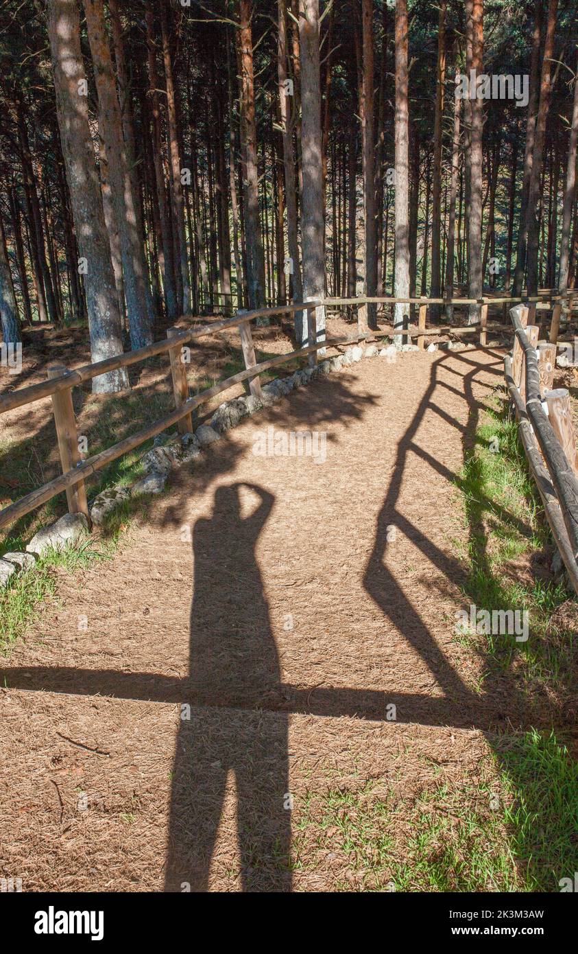 La Garganta forest Wooden Handrail. Trekker  shadow visible. He is using his hand as a visor. Extremadura, Spain Stock Photo