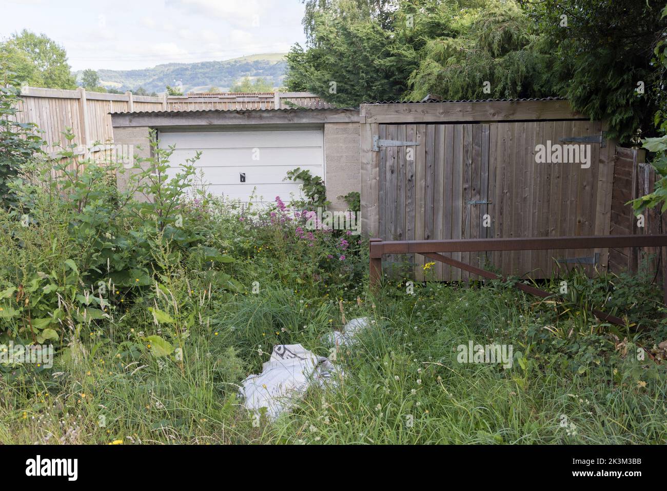 Overgrown garages, Llanfoist, Wales, UK Stock Photo