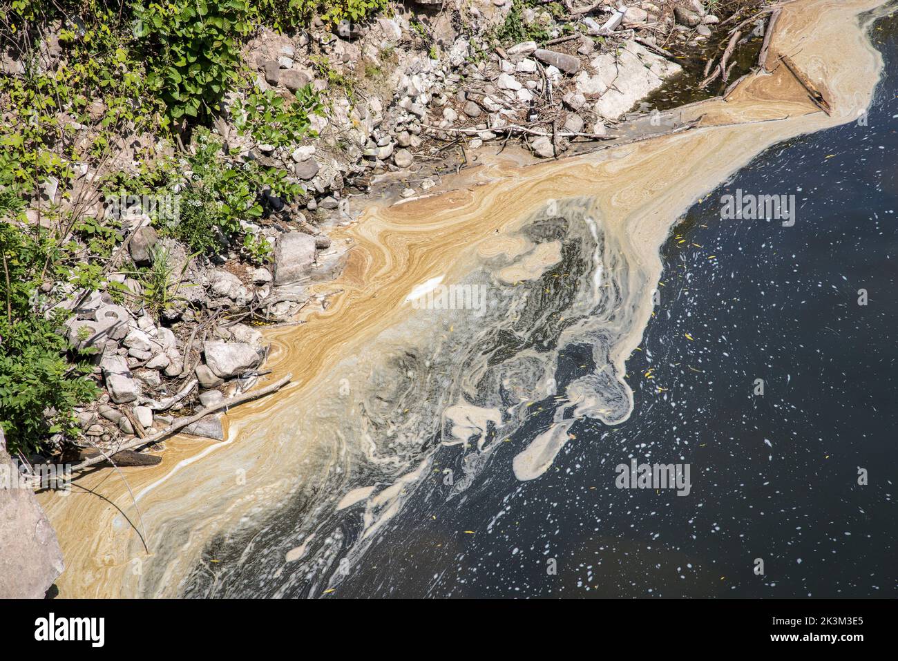 Pollution at edge of River Usk at Abergavenny,. Wales, UK Stock Photo
