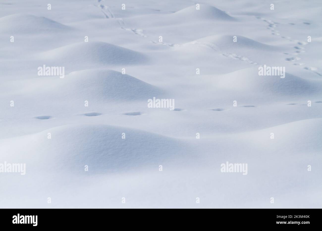 perfect round hill of fresh snow Stock Photo Alamy