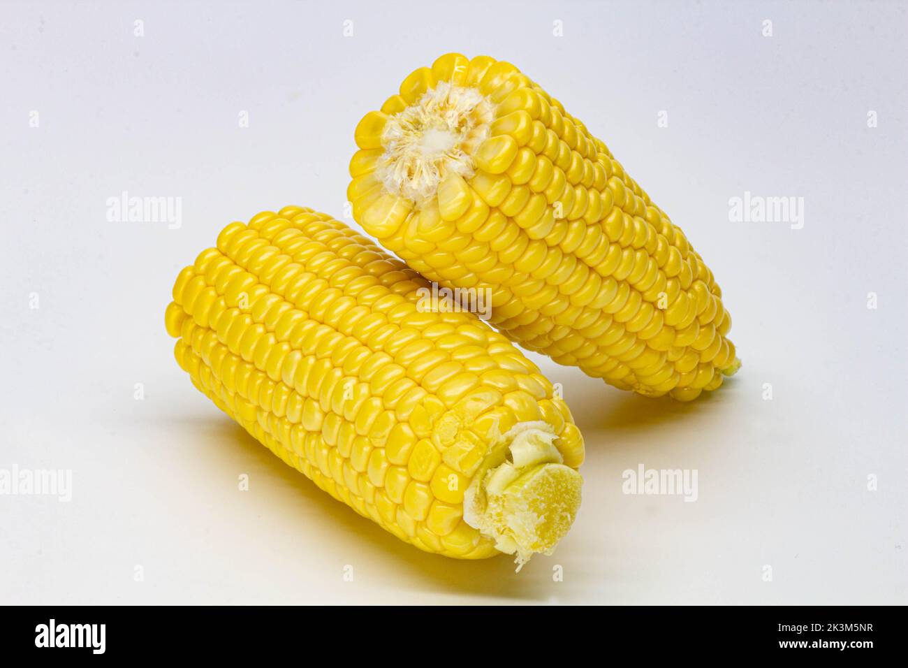 two-halves-ear-of-ripe-sweet-corn-isolated-on-white-background