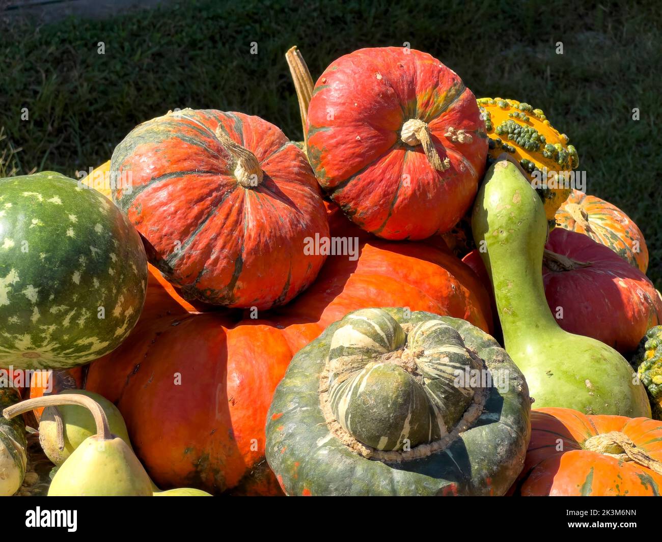 09/25/2022 Bunn, North Carolina Ornamental Goards, Pumpkins on display