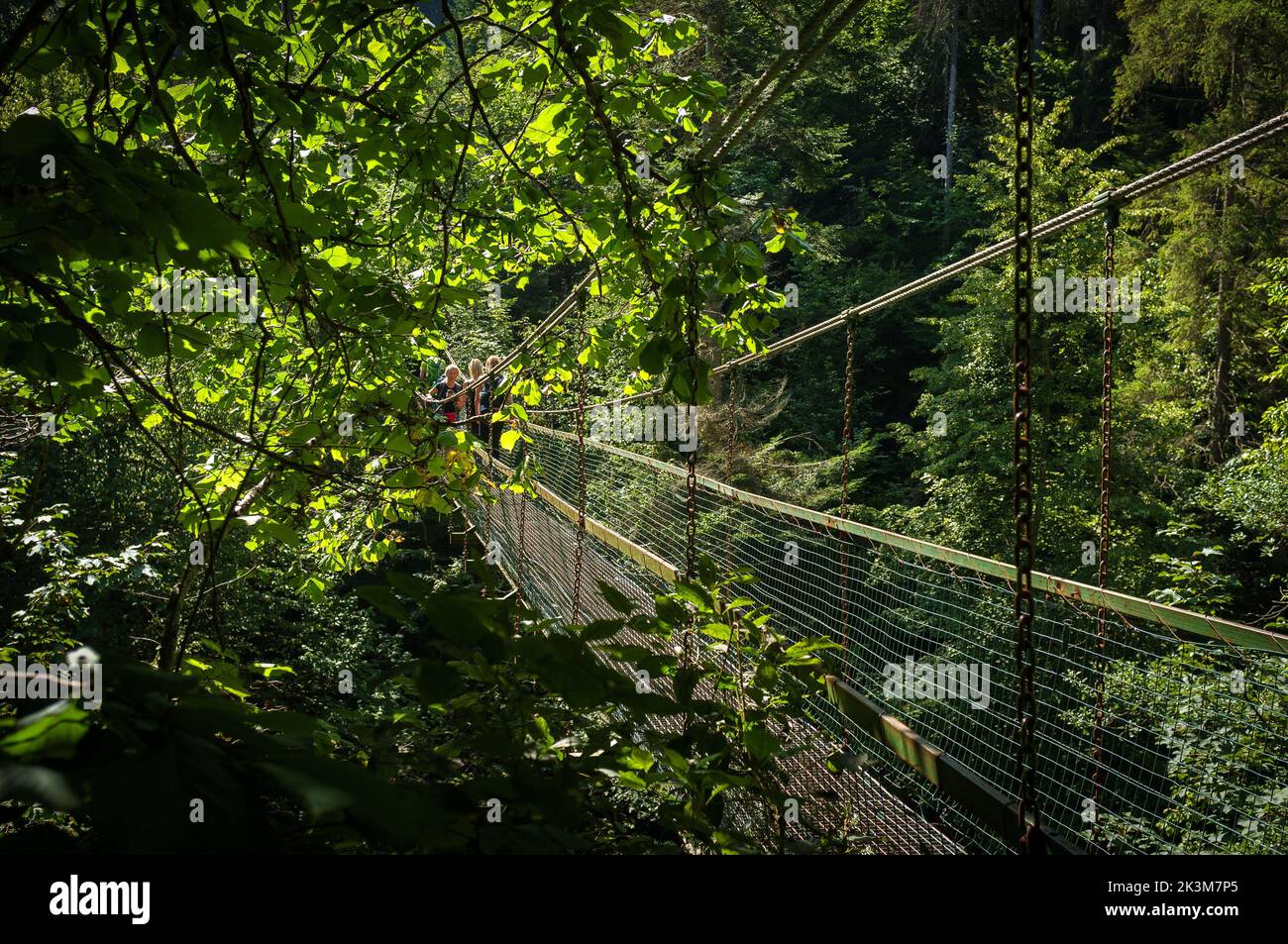 A group of tourists walking along an iron swinging bridge over the river Hornad in Prielom Hornadu in Slovak Paradise, Slovakia Stock Photo