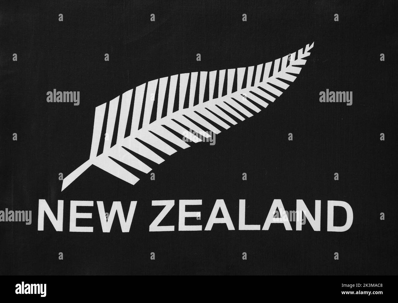 Close-up of New Zealand silver fern flag Stock Photo