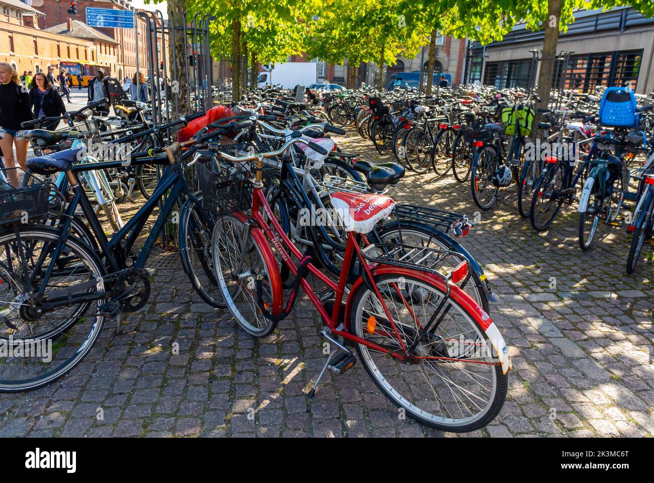 Copenhagen, Sweden, Large Group Bicycles at Pubic Parking Lot on Street, City Center Stock Photo