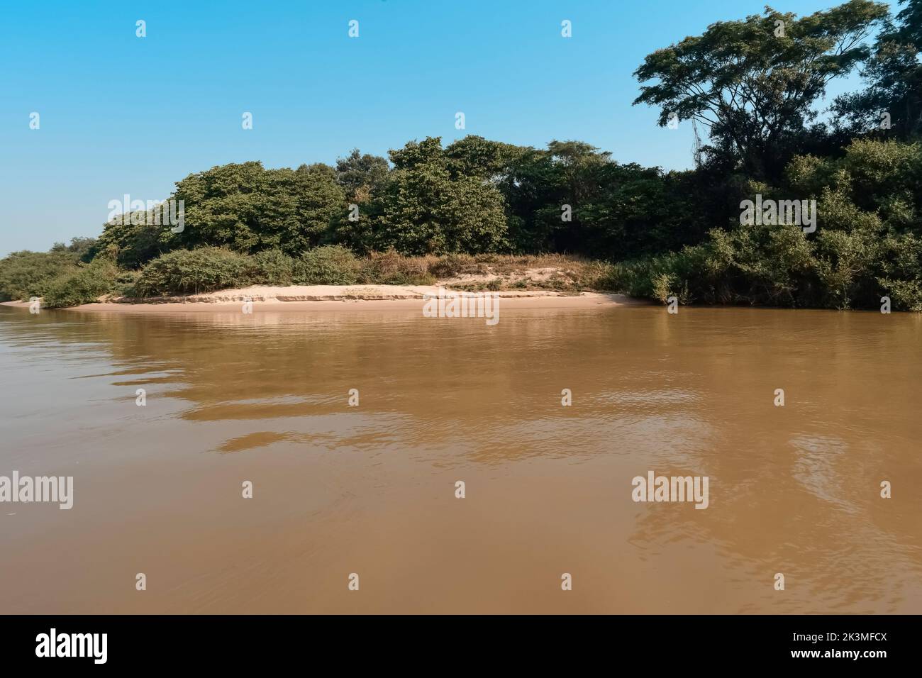 Pantanal landscape river green hi-res stock photography and images - Alamy