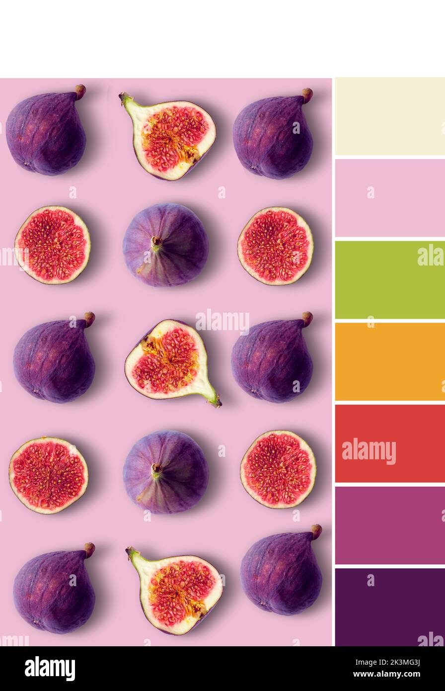 Color matching palette from image of fig fruit, whole and cut in half on pink color background. Stock Photo