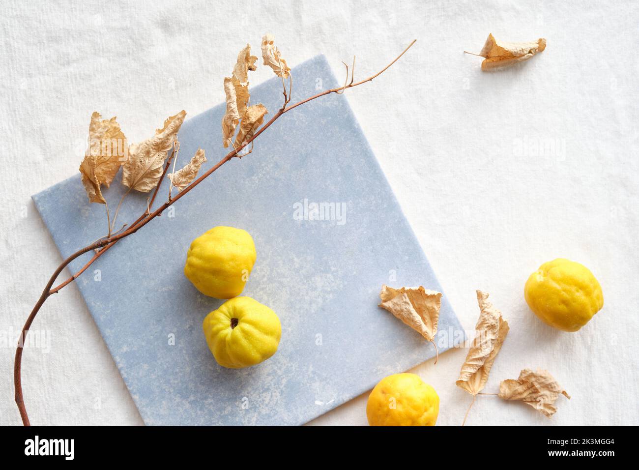 Colorful Autumn pattern with yellow quince fruits on blue ceramic tile. Seasonal Fall still life arrangement on off white cotton textile tabletop. Dry Stock Photo