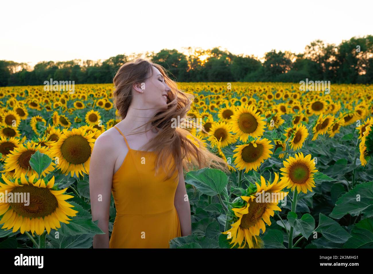 Sunflowers field on sunset. Woman with a long hair is dancing Stock ...