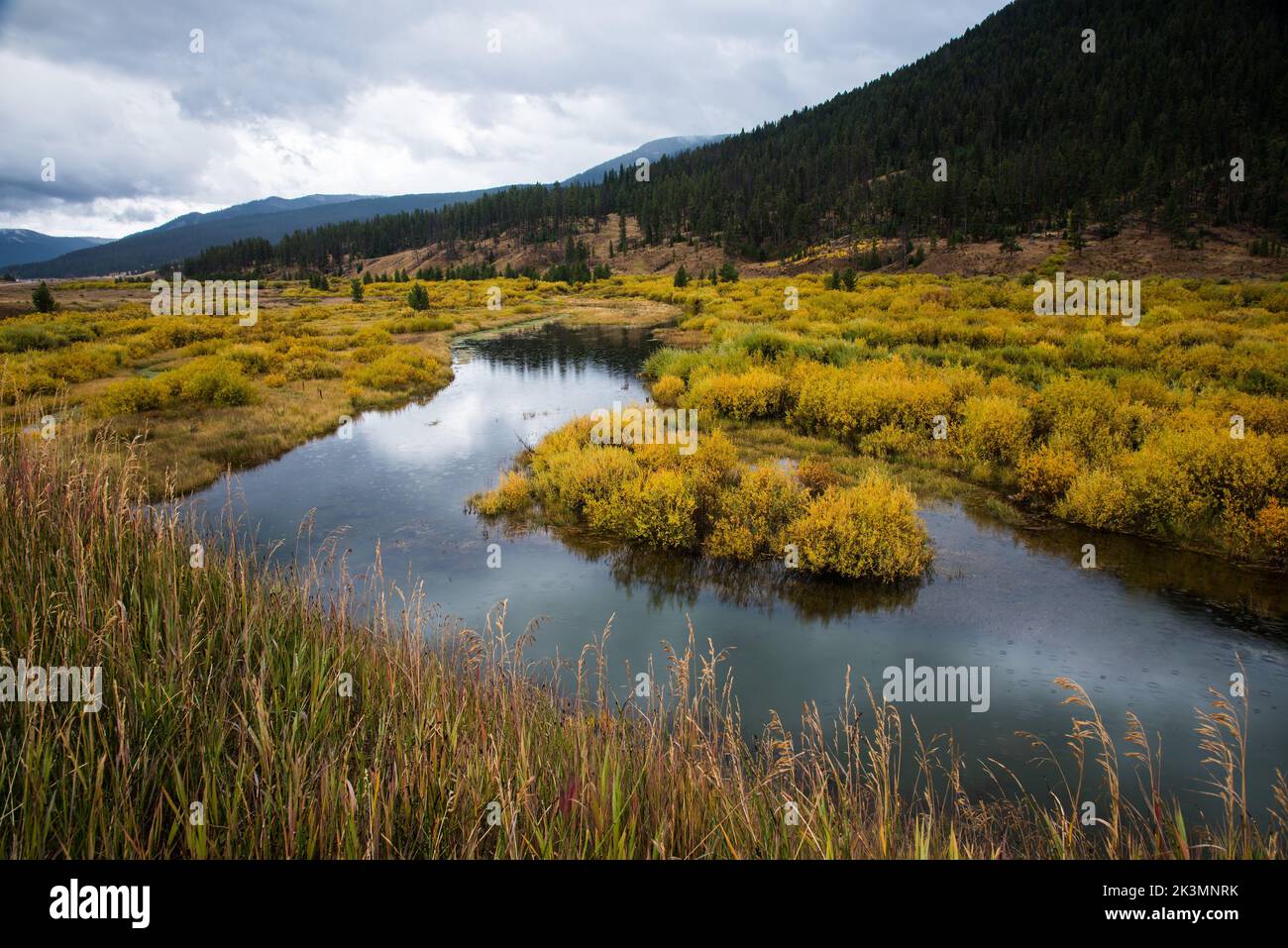 Golden meadows along a meandering stream in West Yellowstone, Montana. The grass turns to warm autumn colors in September and October. Stock Photo