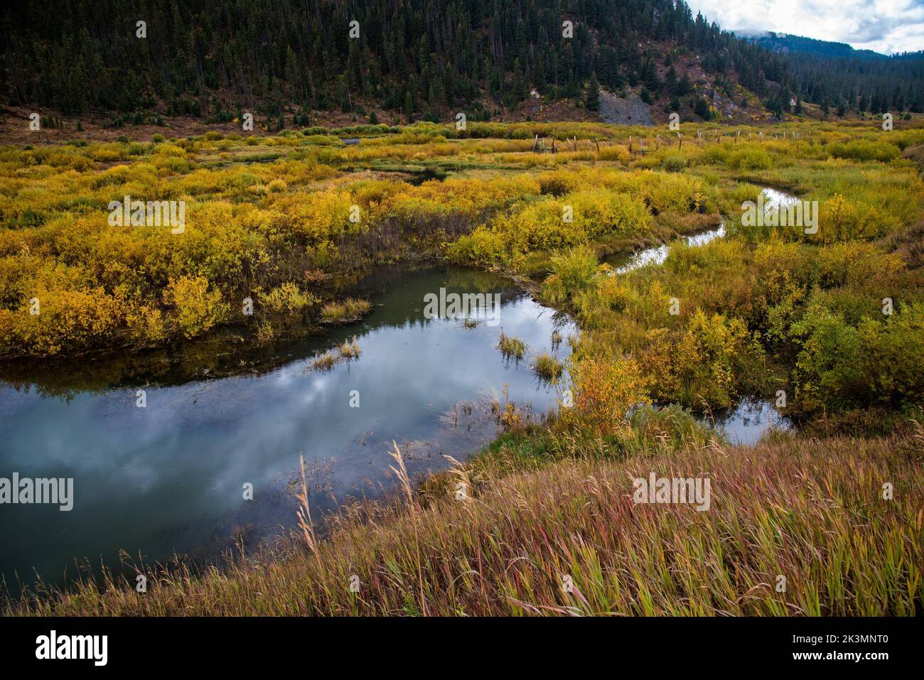Golden meadows along a meandering stream in West Yellowstone, Montana. The grass turns to warm autumn colors in September and October. Stock Photo