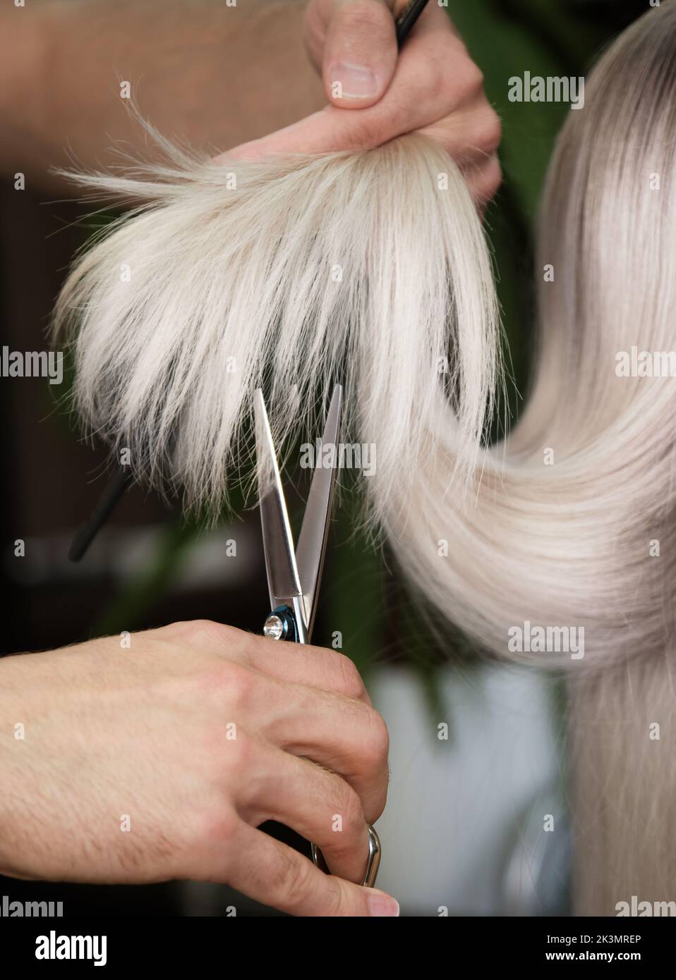 Woman hair dye foils hi-res stock photography and images - Alamy