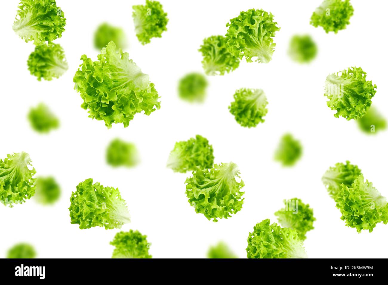 Falling salad, lettuce leaf, isolated on white background, selective focus Stock Photo