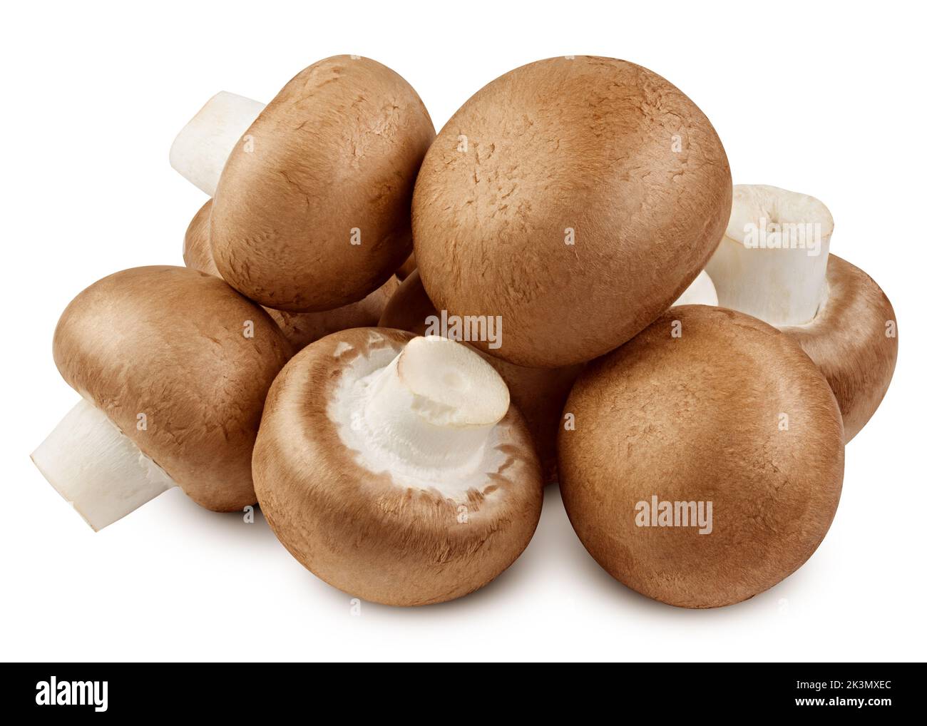 champignon, mushroom, isolated on white background, clipping path, full depth of field Stock Photo