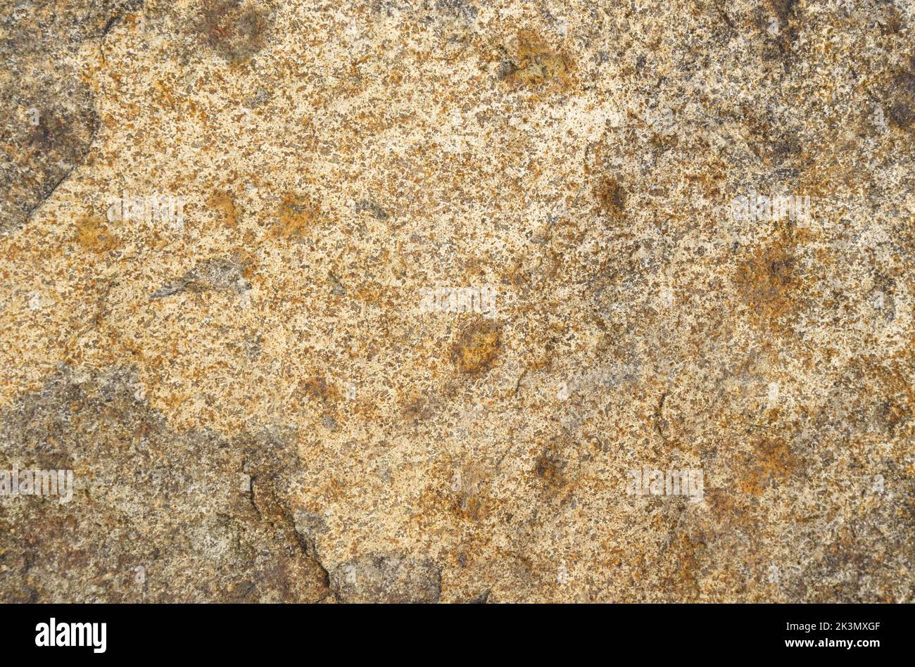 The texture of the stone with different shades of brown and spots