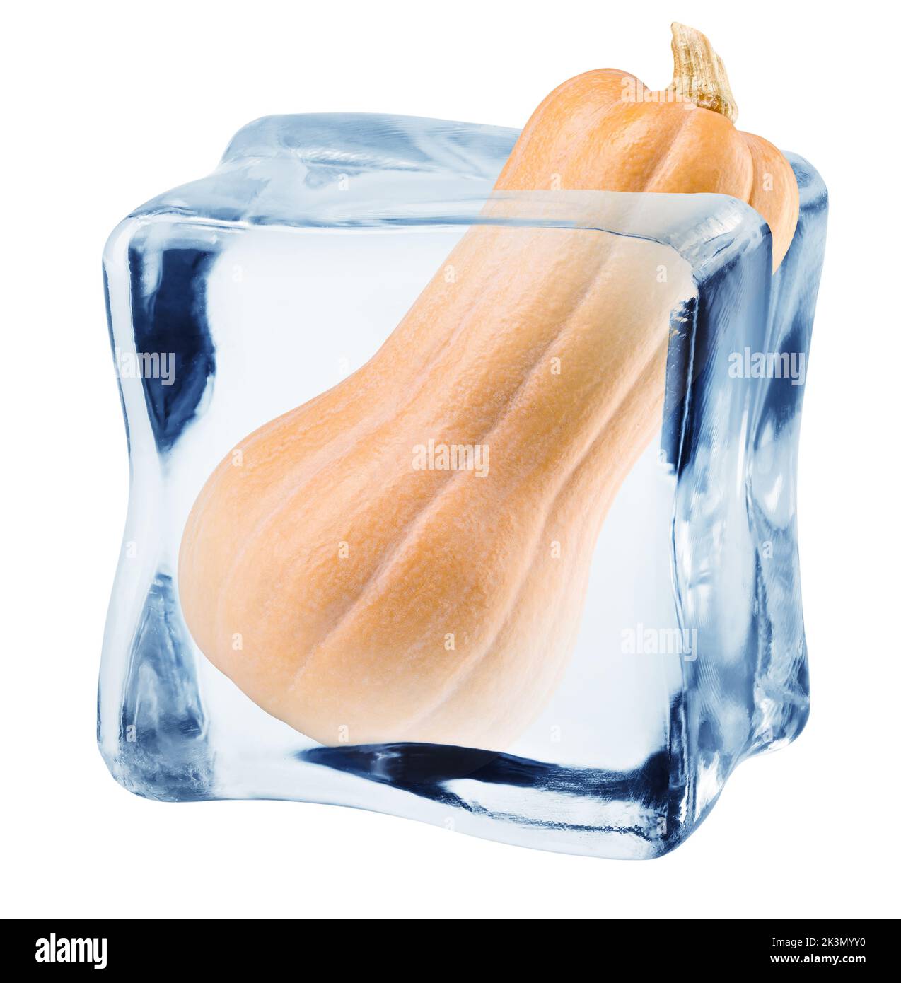 pumpkin butternut squash in ice cube, isolated on white background, clipping path, full depth of field Stock Photo