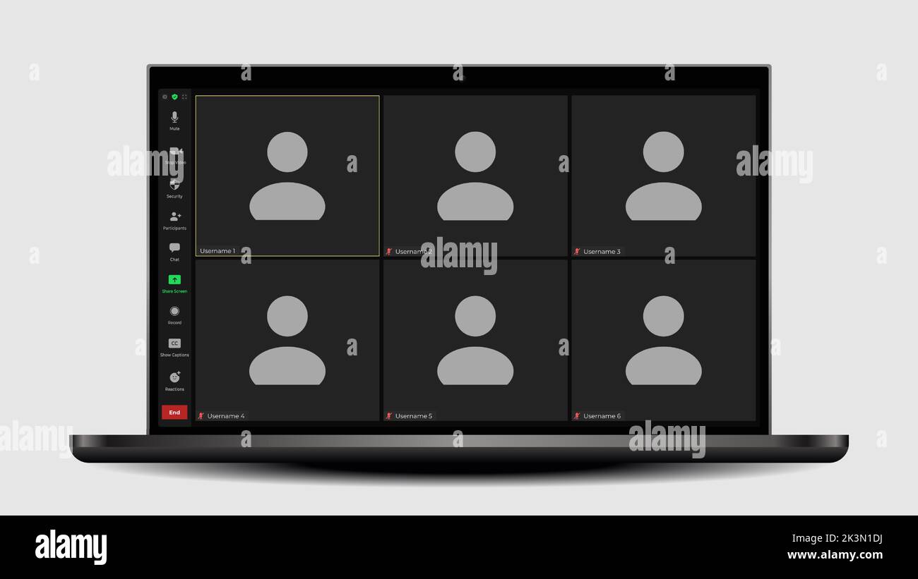 Video conference calls window overlay. User web video call window. Zoom