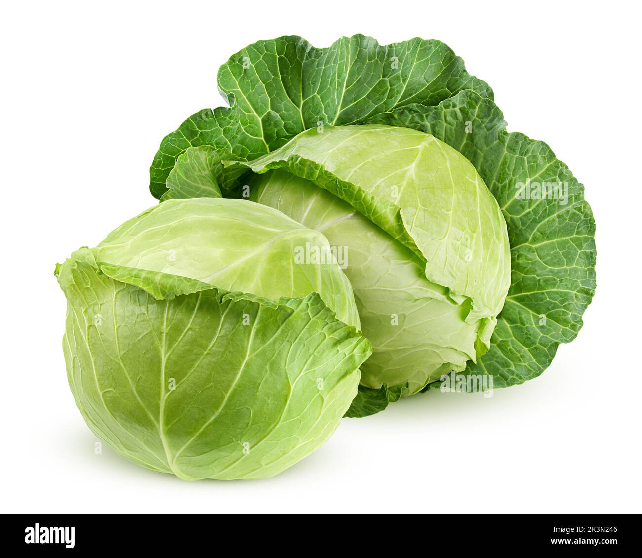 Cabbage Isolated cabbage isolated on white background, clipping path, full depth of ...