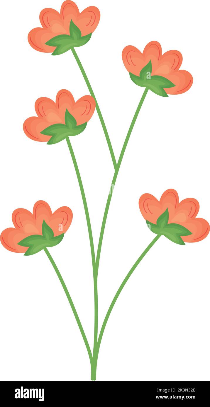 Orange lush flowers Stock Vector Images - Alamy