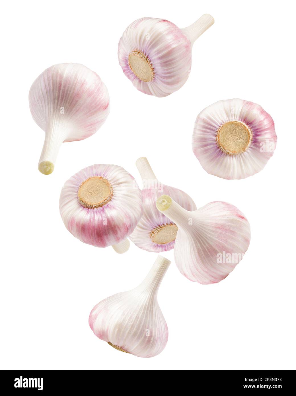 Falling garlic, isolated on white background, clipping path, full depth