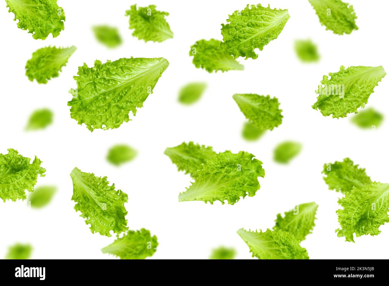 Falling Salad leaves, lettuce, isolated on white background, selective focus Stock Photo