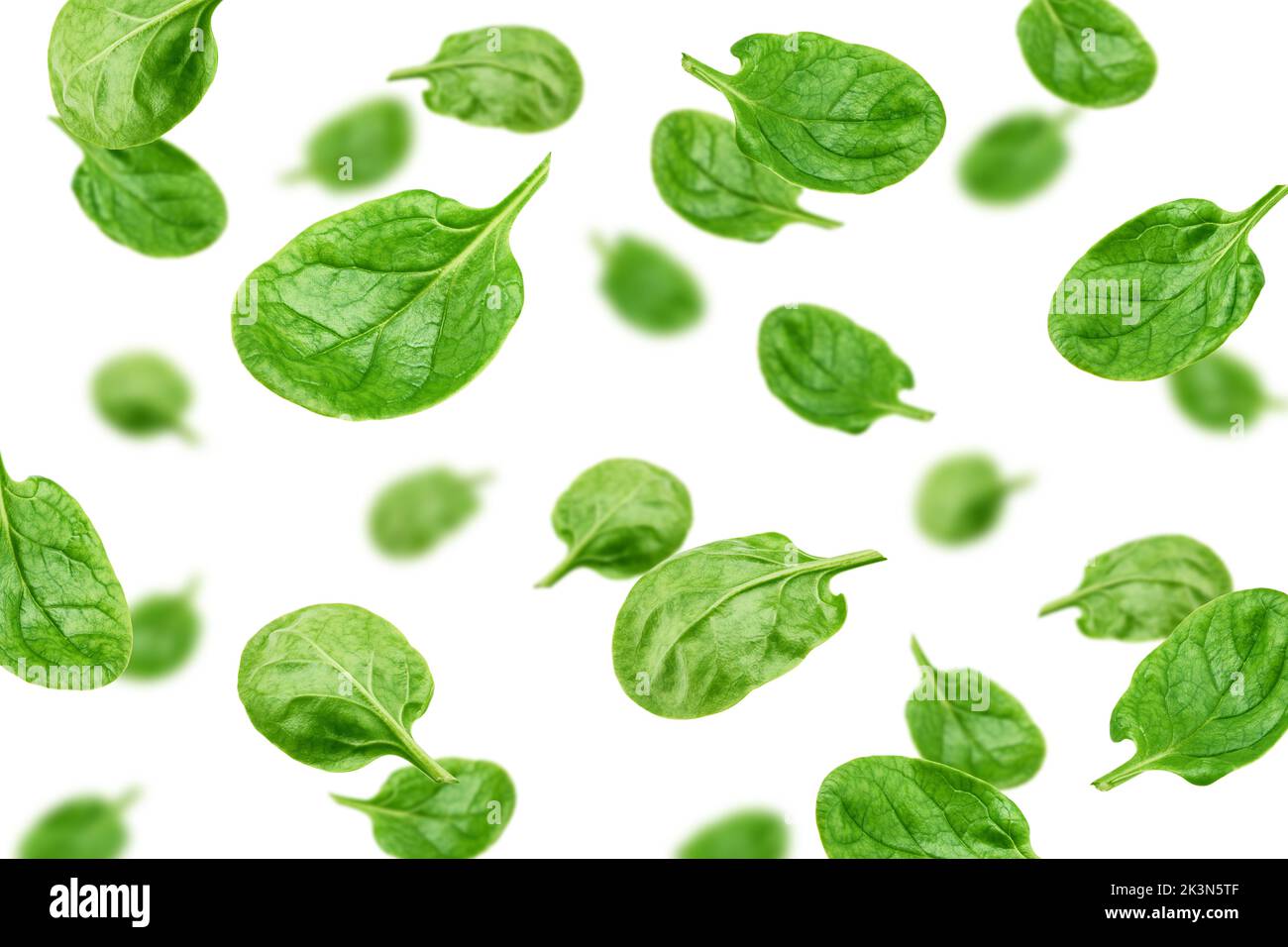 Falling Spinach isolated on white background, selective focus Stock Photo