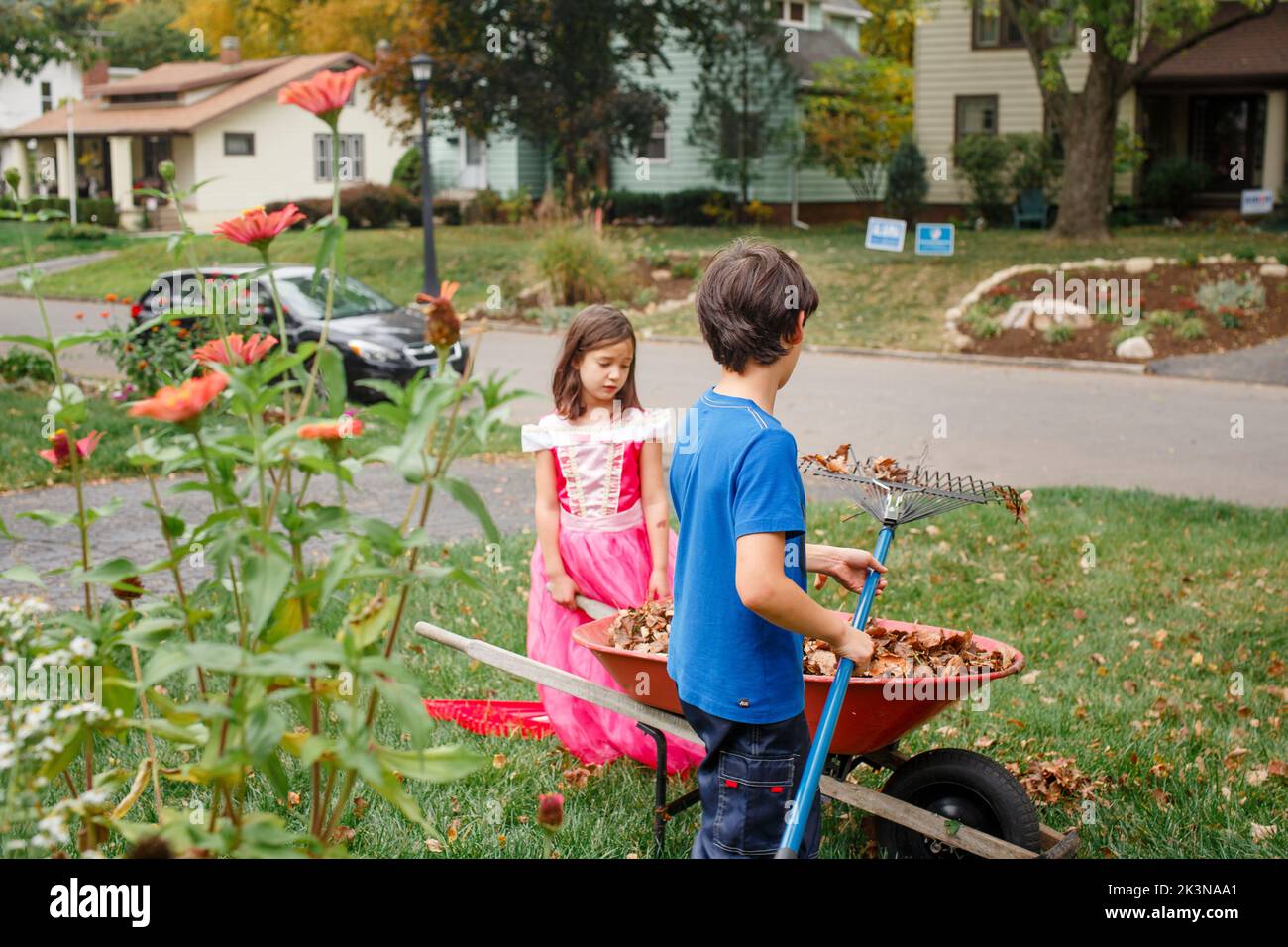 A girl in princess costume helps brother rake yard with wheelbarrow Stock Photo