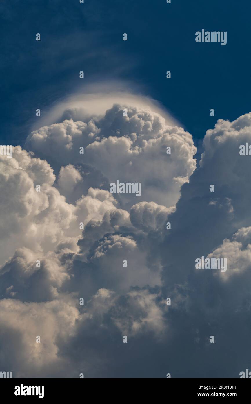 Pileus on a cumulonimbus cloud Stock Photo