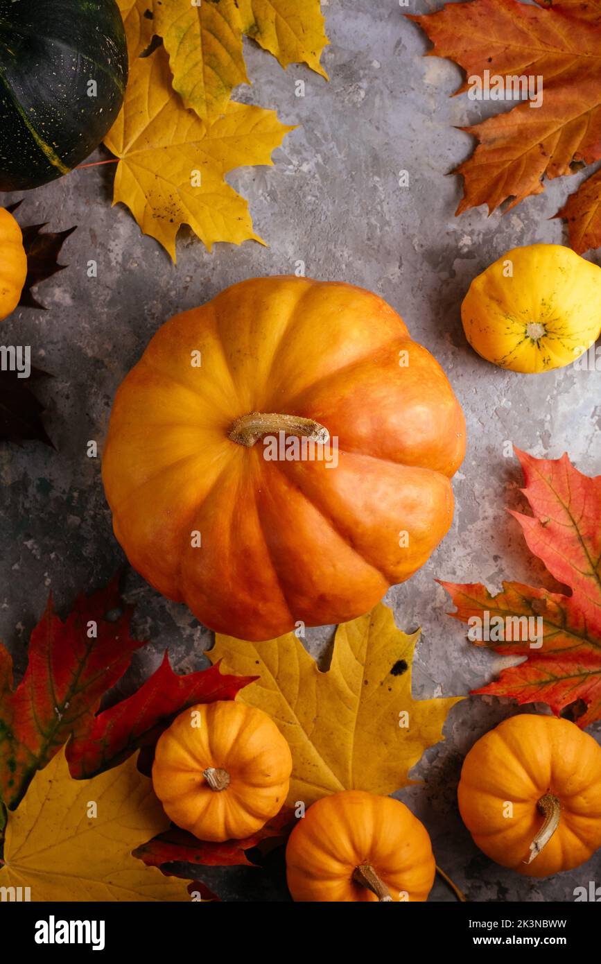 a whole beautiful pumpkin on the table Stock Photo