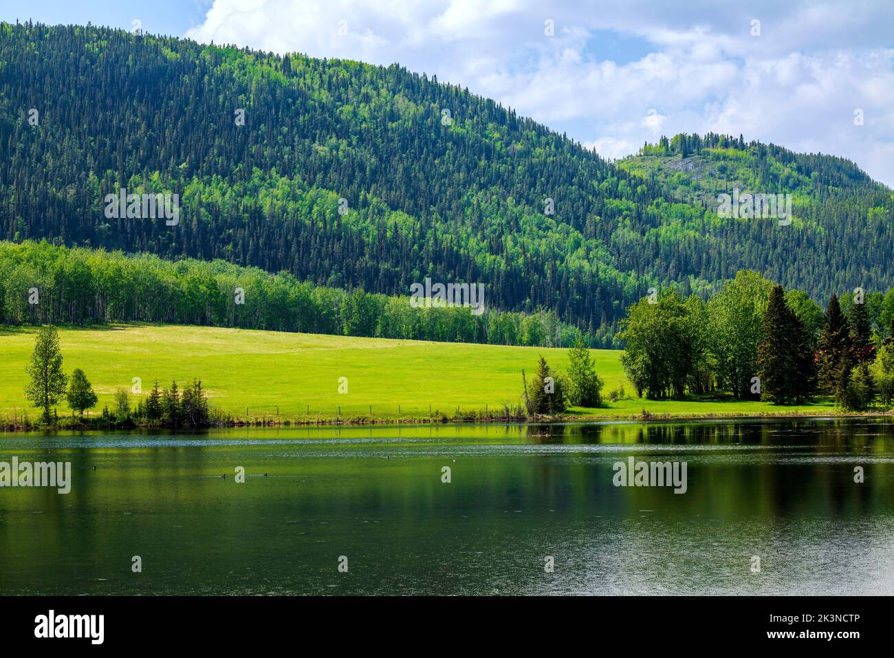 Toad river british columbia hires stock photography and images Alamy