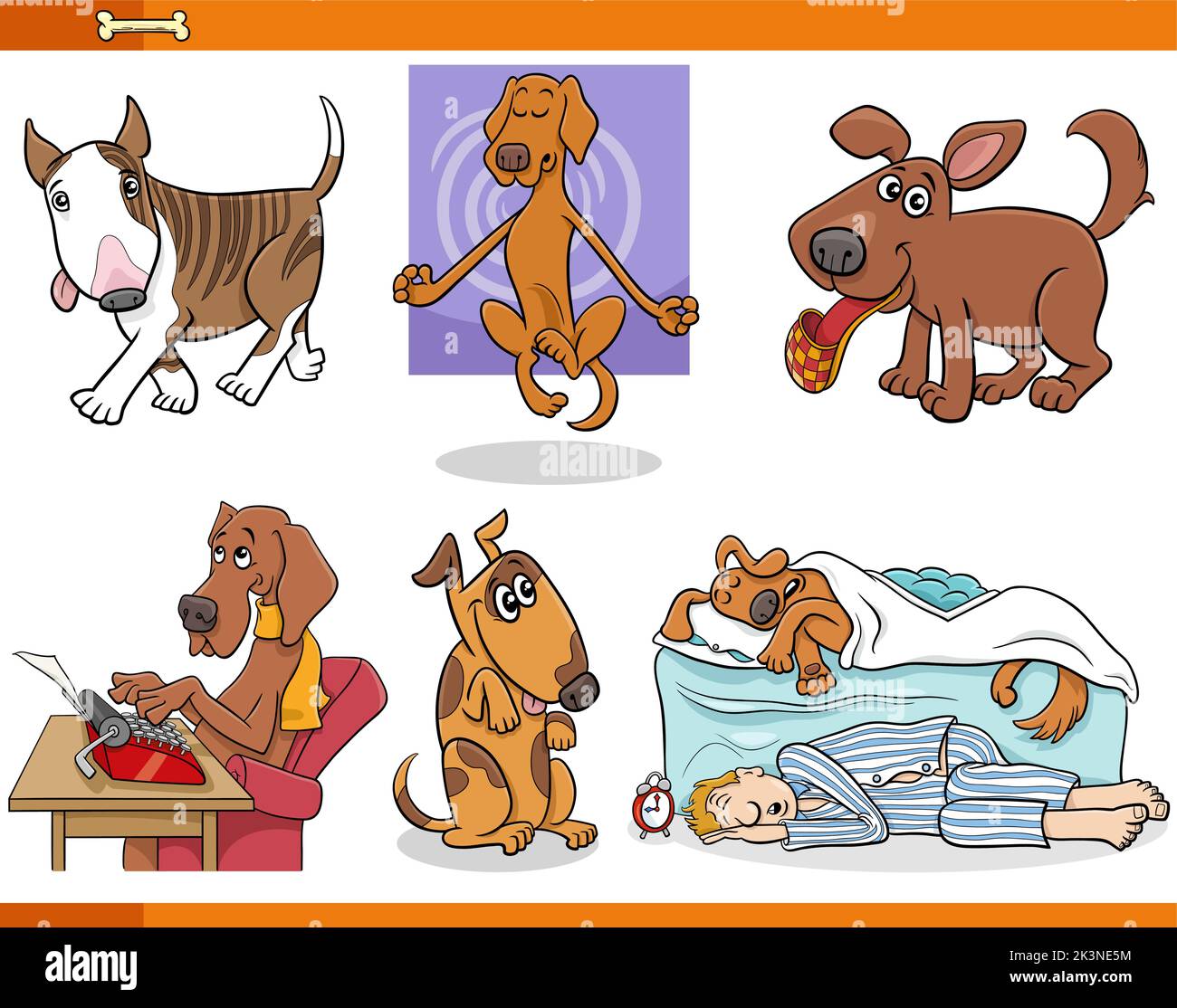 Cartoon illustration of funny dogs and puppies comic animal characters set Stock Vector