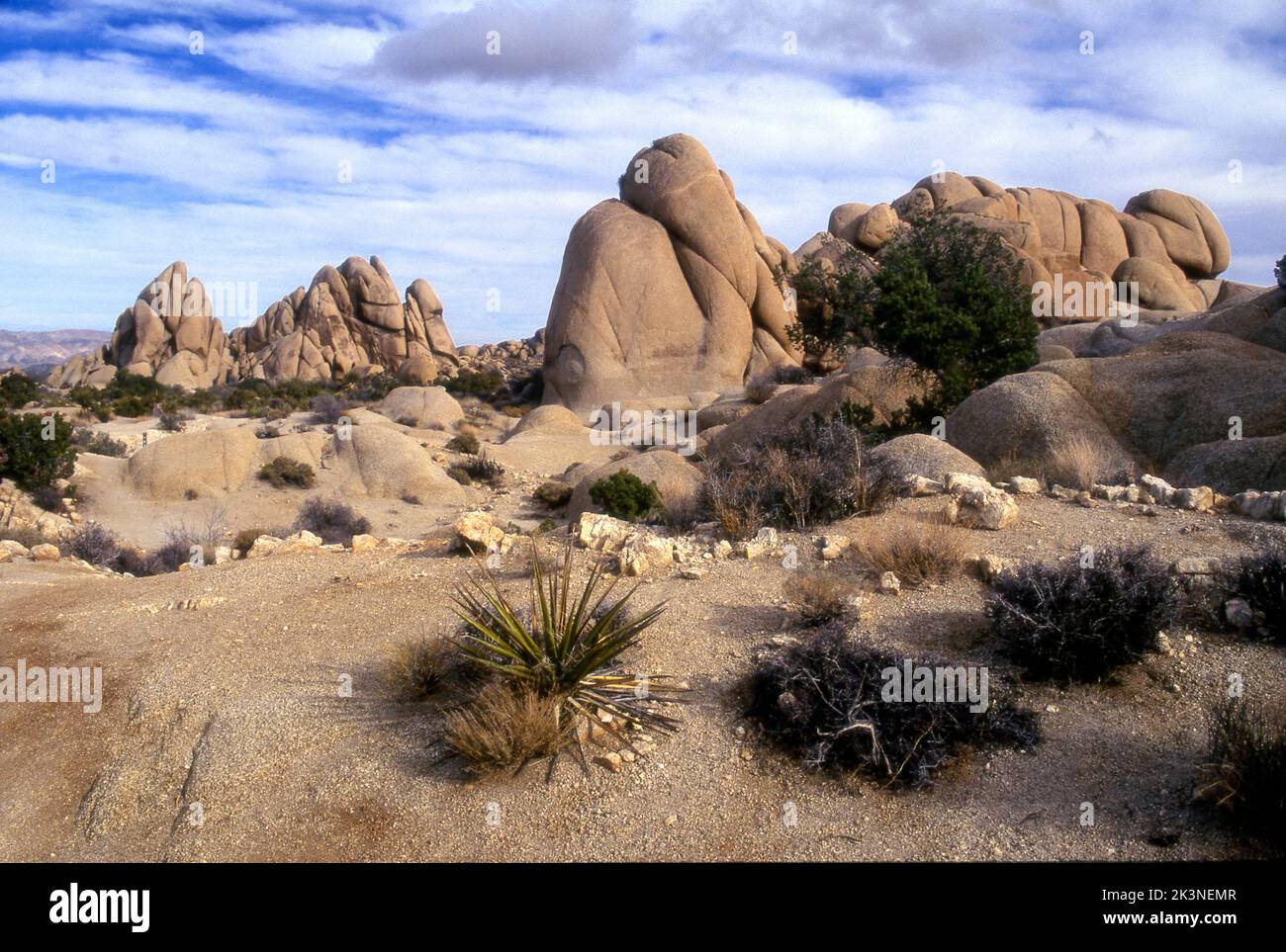 Desert landscape at Joshua Tree National Monument in California, Stock Photo