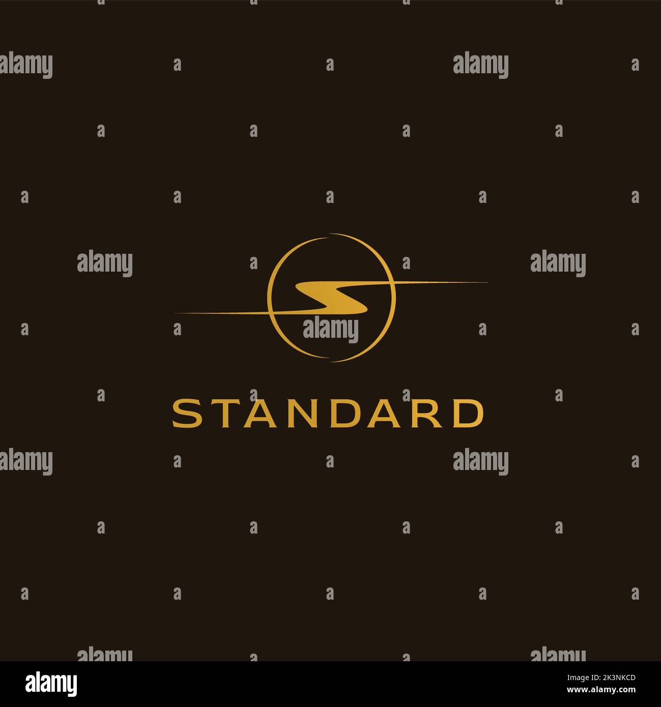 The word standard with the letter s standard isolated on the dark