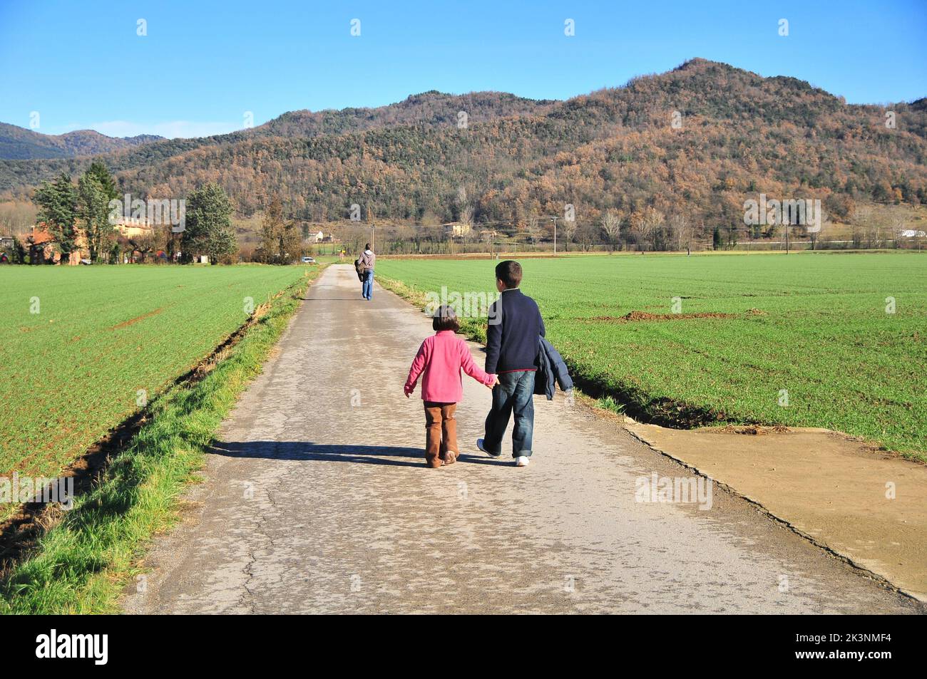 A brother and a sister walking in nature Stock Photo - Alamy
