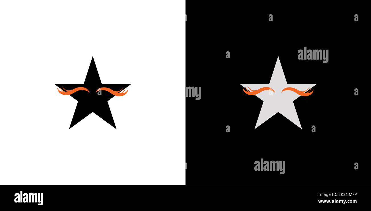 A digital illustration of a simple modern business star logo design on